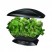 Kit de salada verde